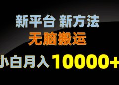 新平台新方法,无脑搬运,月赚10000+,小白轻松上手不动脑