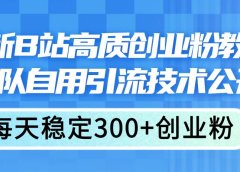 最新B站高质创业粉教程，团队自用引流技术公开