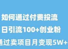 如何通过付费投流日引流100+创业粉月变现5W+
