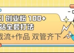 日引创业粉 100+ b 站全套打法【实操视频】