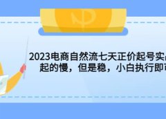 2023电商自然流七天正价起号实战课：起的慢，但是稳，小白执行即可