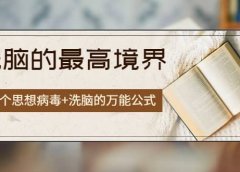 《洗脑的最高境界》人手一本的商业圣经,108个思想病毒+洗脑的万能公式