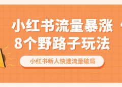 小红书流量-暴涨8个野路子玩法：小红书新人快速流量破局（8节课）