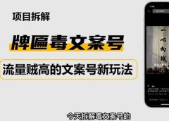 2023抖音快手毒文案新玩法,牌匾文案号,起号快易变现