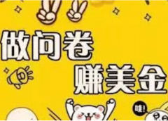 外边收费四五千的国外问卷调查项目,单人一天操作100美元,真正的搬砖项目