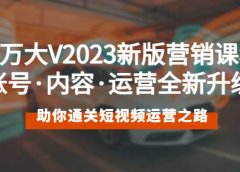 百万大V2023新版营销课 账号·内容·运营全新升级 通关短视频运营之路
