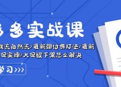 拼多多·实战课:万人团玩法/截流自然流/最新强付费打法/最新原价卡大促..
