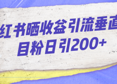 小红书晒收益图引流垂直项目粉日引200+