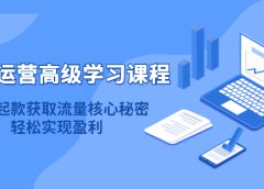 淘宝运营高级学习课程:快速获取流量核心秘密,轻松实现盈利!