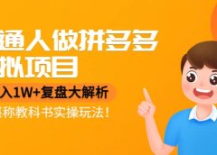普通人做拼多多虚拟项目，复盘大解析，堪称教科书实操玩法