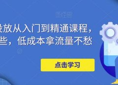 万相台投放·新手到精通课程,学会这些,低成本拿流量不愁