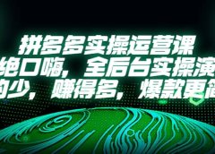 拼多多实操运营课:拒绝口嗨,全后台实操演示,花的少,赚得多,爆款更简单