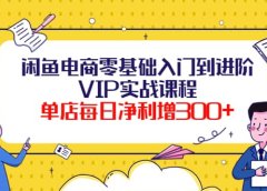 闲鱼电商零基础入门到进阶VIP实战课程