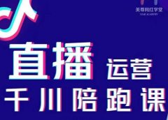 美尊-抖音直播运营千川系统课:直播运营规划、起号、主播培养、千川投放等