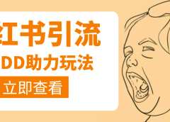 利用小红书卖拼多多助力