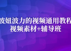 波妞波力的视频通用教程+视频素材+辅导班