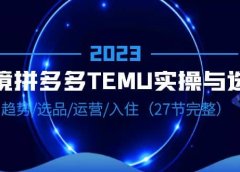 2023跨境·拼多多·TEMU实操与选品,趋势·选品·运营·入住(27节完整)