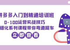 2023拼多多入门到精通培训班:0-100运营实战技巧 精细化系列课带你弯道超车