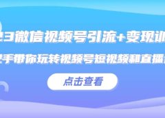 2023微信视频号引流+变现训练营：手把手带你玩转视频号短视频和直播运营