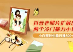 抖音老照片扩展出的两个冷门暴力小项目,小白照抄也能日撸500+
