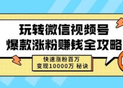 玩转微信视频号爆款涨粉赚钱全攻略,快速涨粉百万变现万元秘诀