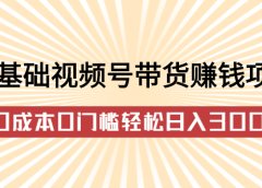 零基础视频号带货赚钱项目,0成本0门槛轻松日入300+【视频教程】