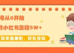 新账号从0开始3个月小红书涨粉5W+实现单篇爆粉，轻松变现（干货）