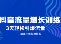 抖音流量增长训练营，3天轻松引爆流量，驱动生意长效增长