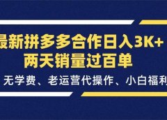 最新拼多多合作日入3K+两天销量过百单,无学费、老运营代操作、小白福利