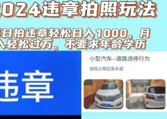 2024违章拍照新玩法,推广躺赚+拍照赚钱双模式,日入1000+