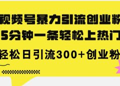 视频号暴力引流创业粉，5分钟一条轻松上热门，轻松日引流300+创业粉