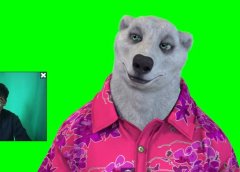 实时直播换脸卡通形象出镜,卡通形象面部捕捉(软件+教程)