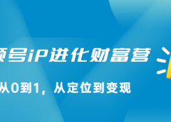 视频号iP进化财富营第1期,21天从0到1,从定位到变现