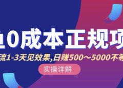 宇晨闲鱼无货源,十几节课程丰富讲诉闲鱼卖货技巧,价值6980