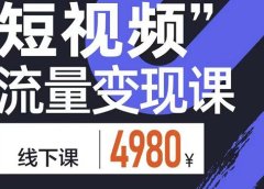 短视频流量变现课,学成即可上路,抓住时代的红利