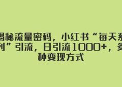揭秘流量密码,小红书“每天系列”引流,日引流1000+,多种变现方式