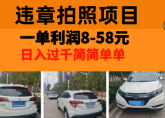 最强副业违章拍照，一单利润8-58元，全国大小城市都可做