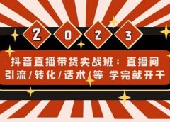 抖音直播带货实战班:直播间引流/转化/话术/等 学完就开干(无水印)