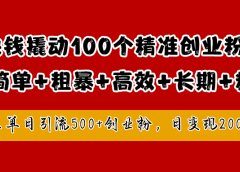 1块钱撬动100个精准创业粉，简单粗暴高效长期精准，单人单日引流500+创业粉，日变现2000+