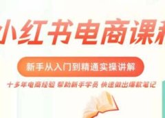 小红书电商新手入门到精通实操课,从入门到精通做爆款笔记,开店运营