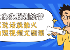 文案实操训练营,只说话就能火的短视频文案课