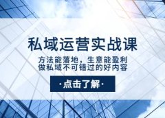 私域运营实战课:方法能落地,生意能盈利,做私域不可错过的好内容