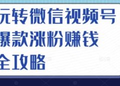 玩转微信视频号爆款涨粉赚钱全攻略,让你快速抓住流量风口,收获红利财富