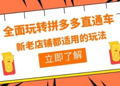 全面玩转拼多多直通车,新老店铺都适用的玩法(12节精华课)