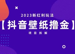 2023新红利玩法:抖音壁纸撸金项目