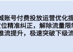 同城账号付费投放运营优化提升，定位精准纠正，解除流量限制，自然推流提升，极速突破下级流量池