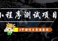 小程序测试项目 从星图 搞笑 网易云 实拍 单品爆破 抖音抖推猫小程序变现