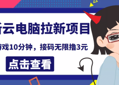 最新云电脑平台拉新撸3元项目,10分钟账号,可批量操作【详细视频教程】