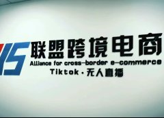 Tiktok无人直播,不出镜不剪辑不拍摄不发货无售后的跨境短视频玩法