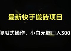 最新快手搬砖挂机项目，傻瓜式操作，小白无脑日入300-500＋